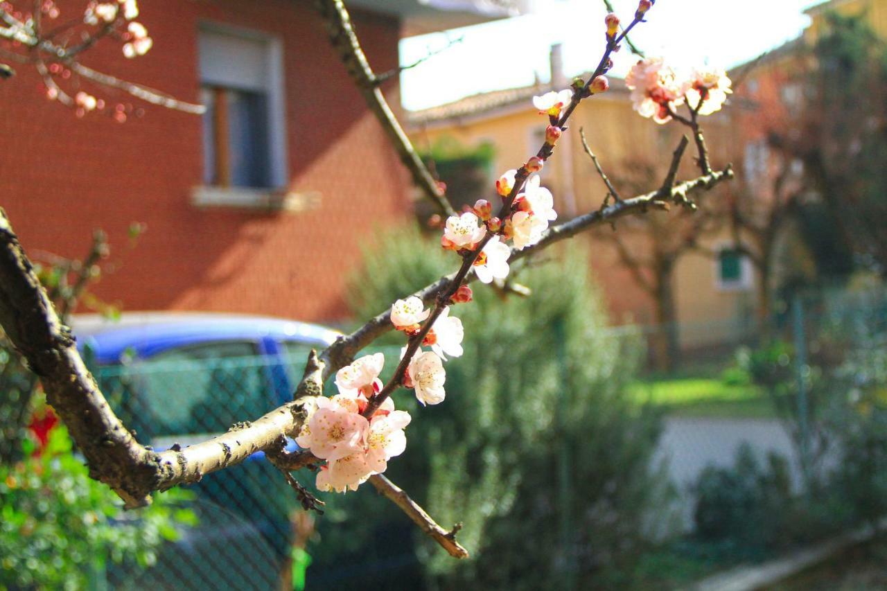 Hiwya - Home Is Where You Are Bolonia Exterior foto